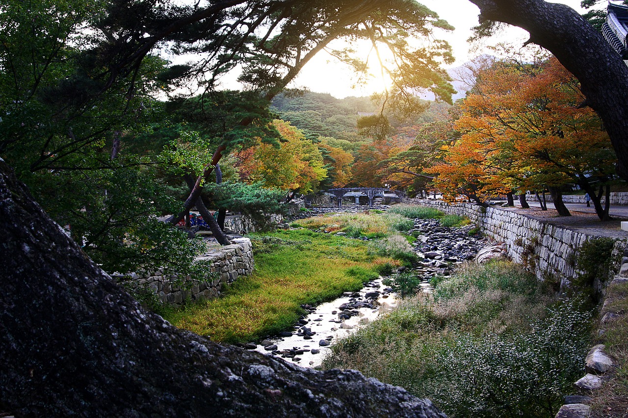 nature, autumn, season